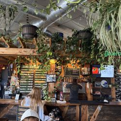 Zuni Street Brewing