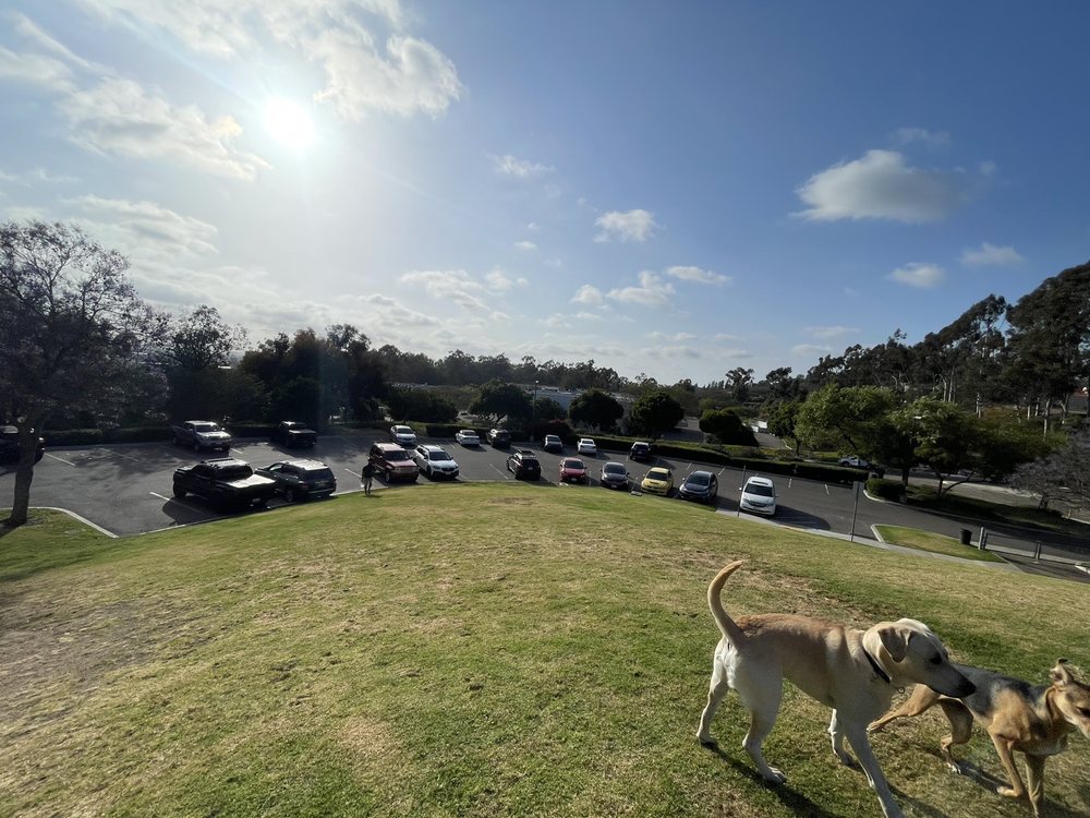 MEANLEY OPEN PARK 10368 Meanley Dr, San Diego, California Dog Parks Yelp