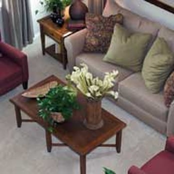 Elite Steam - Upholstery Cleaning - Carpet Cleaning Near Me - Oviedo, Florida Elite Steam - Upholstery Cleaning - Carpet Cleaning Near Me - Oviedo, Florida