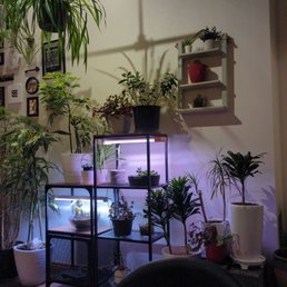 Inside Inside