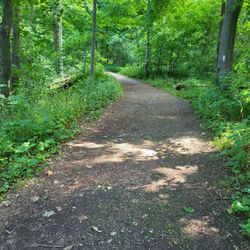 Rock Chapel Nature Sanctuary