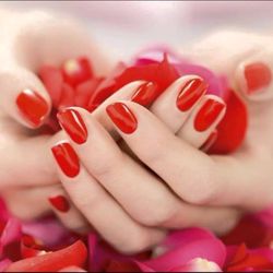 Phenix Salon Suites - Katie Nail Salon -