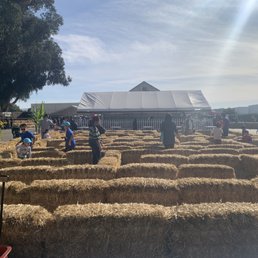 hay maze for kiddies hay maze for kiddies