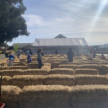 G&M Farms - hay maze for kiddies - Attraction Farms Near Me - Livermore, California G&M Farms - hay maze for kiddies - Attraction Farms Near Me - Livermore, California