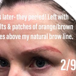 Brows By Kate