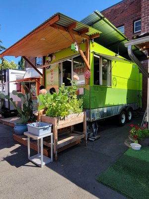 Poblano Pepper by null