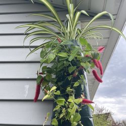 Countryside Greenhouse - What we purchased