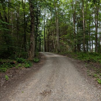 Pharsalia Forest - Road to outlook is drivable - Public Services & Government Near Me - South Plymouth, New York Pharsalia Forest - Road to outlook is drivable - Public Services & Government Near Me - South Plymouth, New York