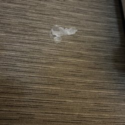 Holiday Inn Express & Suites Abilene Mall South - Trash in first room