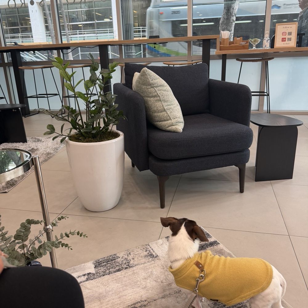 Cute interior and seating, Frida approves lol Cute interior and seating, Frida approves lol