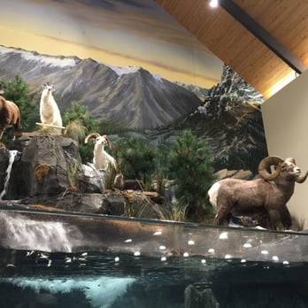 Cabela's - Guns & Ammo Near Me - West Chester, Ohio