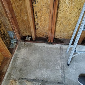 West Coast Restoration & Cleaning - Mold after drywall and insulation removal. - Damage Restoration Near Me - Poway, California West Coast Restoration & Cleaning - Mold after drywall and insulation removal. - Damage Restoration Near Me - Poway, California