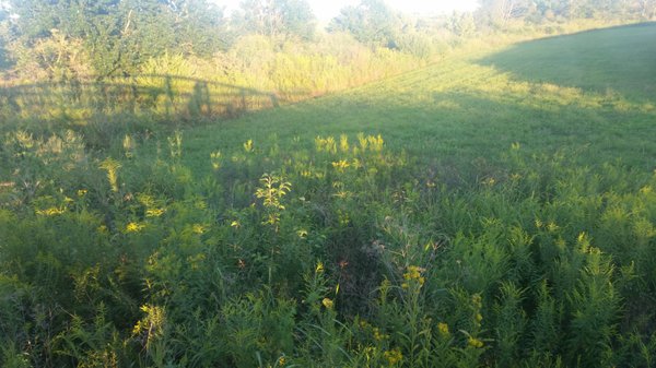 Legacy Trail by null