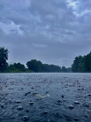 Blackwater Outdoor Adventures by null