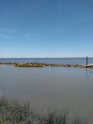 Alabama Aquarium at the Dauphin Island Sea Lab by null