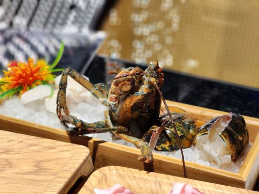 Wagyu House Chicago by null
