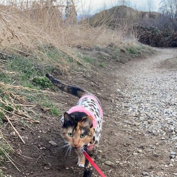 The Wildlands Conservancy - @harleytheadventurekitty loves exploring this spot - Community Service/Non-Profit Near Me - Oak Glen, California The Wildlands Conservancy - @harleytheadventurekitty loves exploring this spot - Community Service/Non-Profit Near Me - Oak Glen, California