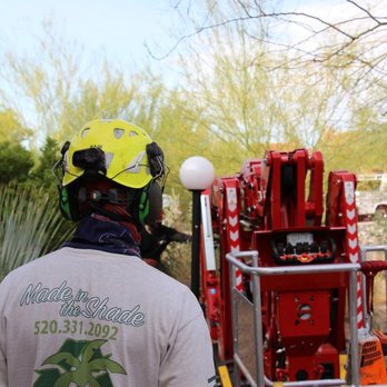 Made In The Shade - Tree Services Near Me - Tucson, Arizona Made In The Shade - Tree Services Near Me - Tucson, Arizona