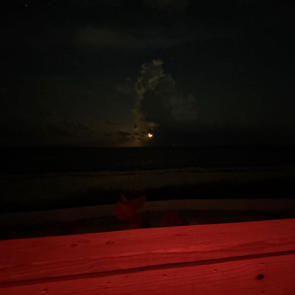Sea Turtle Adventures - View of the moon from the porch deck - Community Service/Non-Profit Near Me - Boynton Beach, Florida Sea Turtle Adventures - View of the moon from the porch deck - Community Service/Non-Profit Near Me - Boynton Beach, Florida