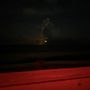 Sea Turtle Adventures