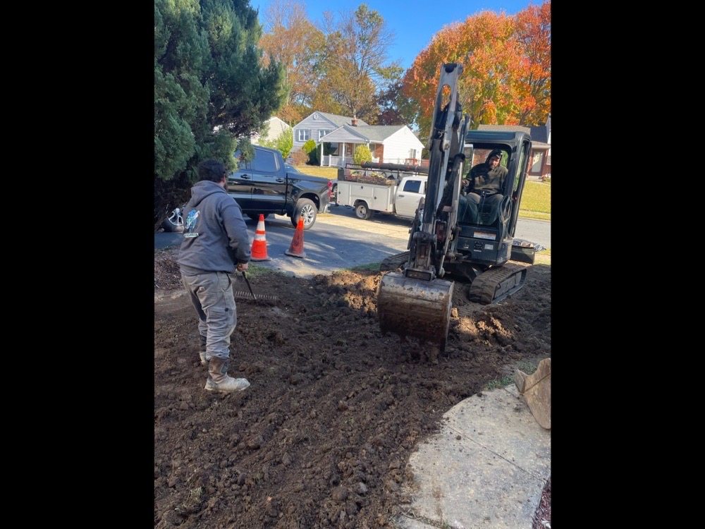 Slide of Fish The Plumber