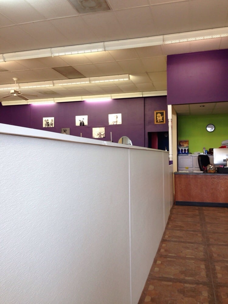 PRECISION PAWS SALON, LLC 15 Photos 7944 Sheridan Rd, Kenosha