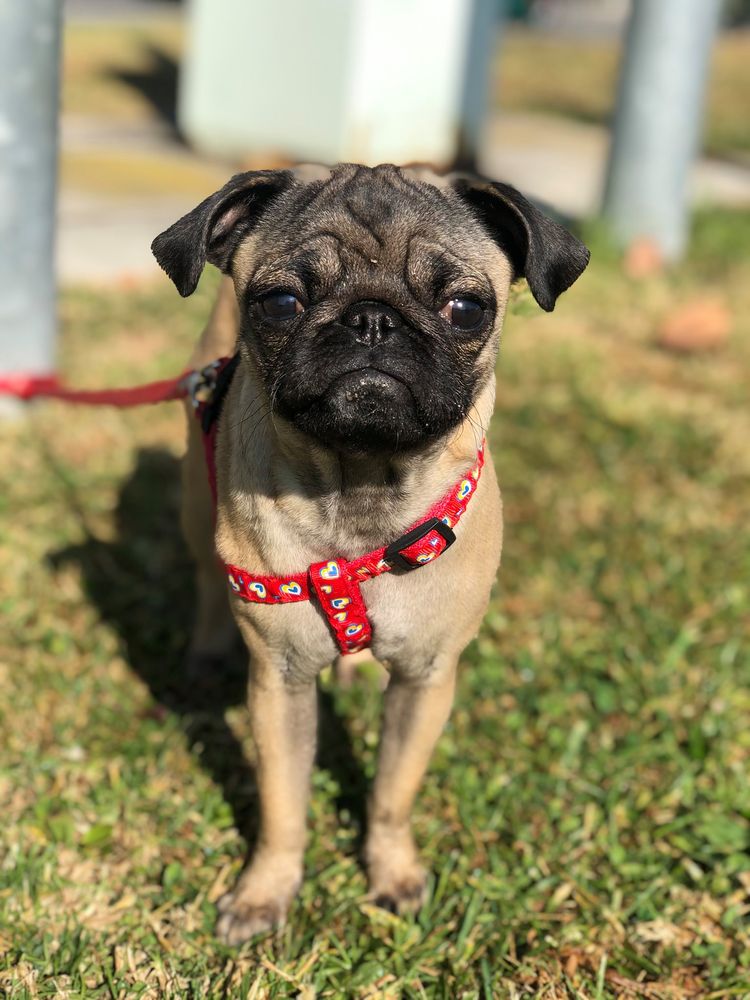 UNITY CUSTOMS BROKERS Updated October 2024 11099 S La Cienega Blvd