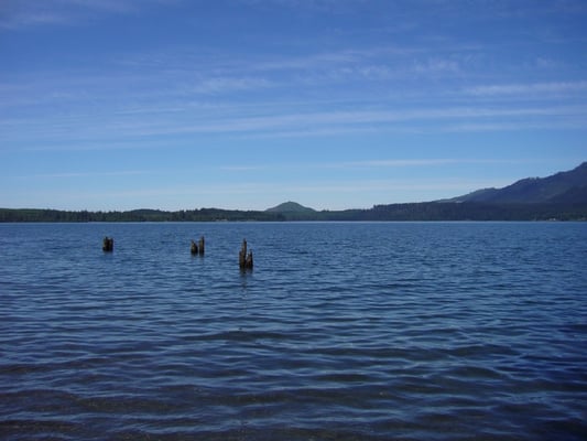 Lake Quinault Lodge by null