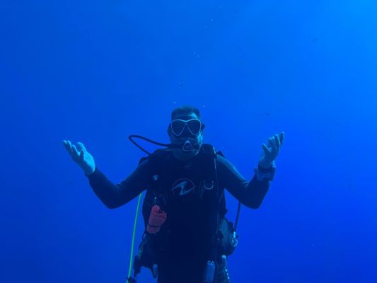 Maui Dreams Dive Co by null