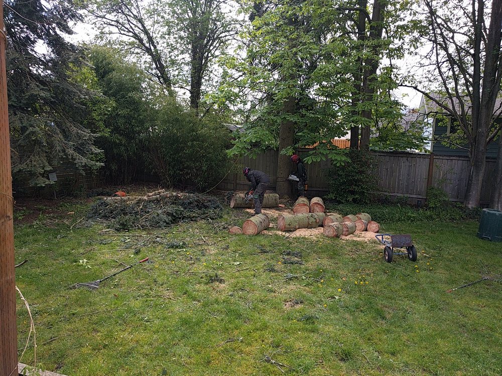 Emerald Tree Service - tree service in Seattle, WA
