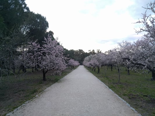Parque de la Quinta de los Molinos by null