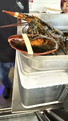 Lombardi's Seafood by null