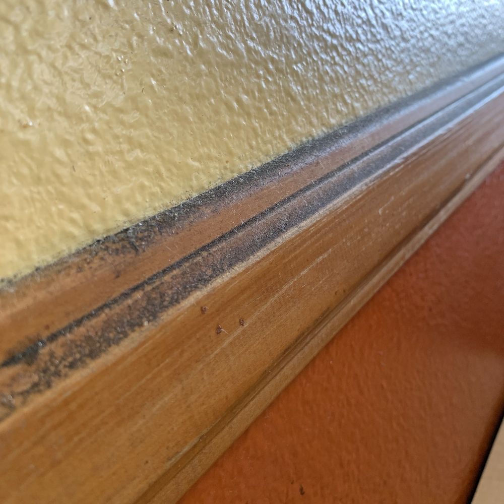 Taco Pronto - Greasy dirt on the lobby rail next to your food - Mexican Near Me - Santa Ana, California