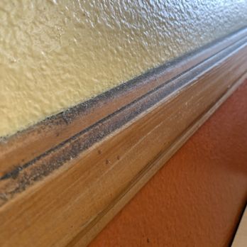 Taco Pronto - Greasy dirt on the lobby rail next to your food - Mexican Near Me - Santa Ana, California Taco Pronto - Greasy dirt on the lobby rail next to your food - Mexican Near Me - Santa Ana, California