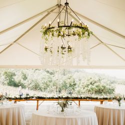 Brutocao Cellars - Contento Vineyard Wedding