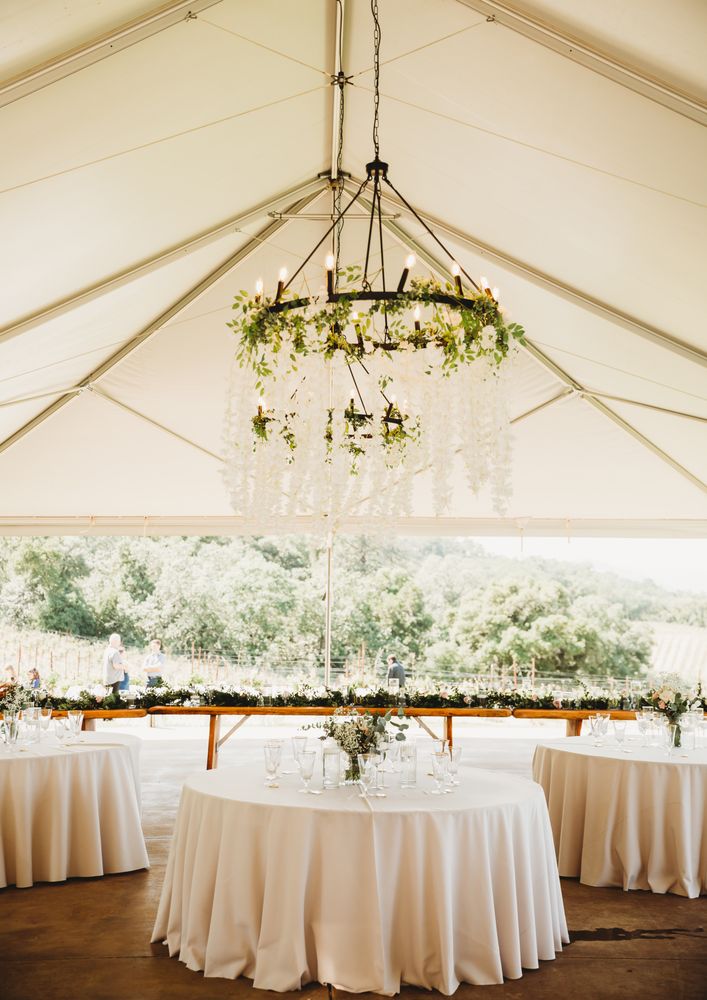 Brutocao Cellars Logo