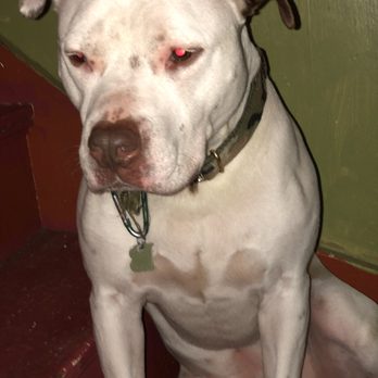MSPCA Angell - Healthy Baby - Veterinarians Near Me - Boston, Massachusetts MSPCA Angell - Healthy Baby - Veterinarians Near Me - Boston, Massachusetts