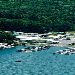 1st Klas Marina