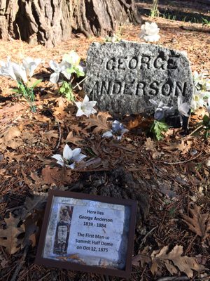 Yosemite Cemetery by null