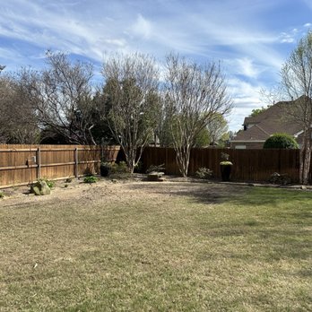 A Matt Tree Service - After - hole completely leveled out - Tree Services Near Me - Fort Worth, Texas A Matt Tree Service - After - hole completely leveled out - Tree Services Near Me - Fort Worth, Texas