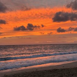 Rental Advisor - Beach front Sunrise