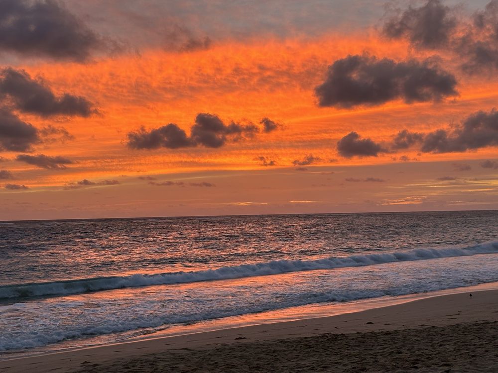 Rental Advisor - property management company in Gilbert, AZ