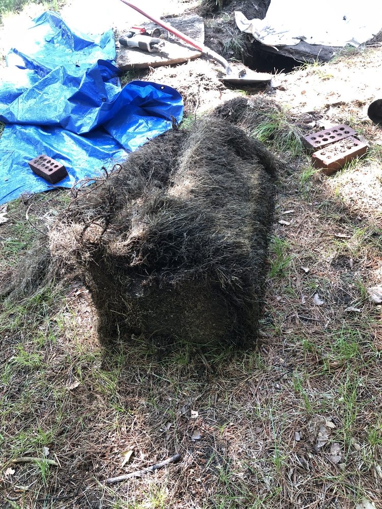 Slide of Mr. Rooter Plumbing of Mid-Michigan