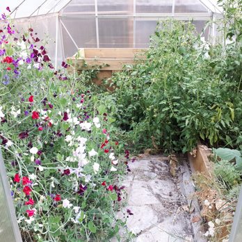 Ripvine Innovation - Nurseries & Gardening Near Me - Calgary, Alberta