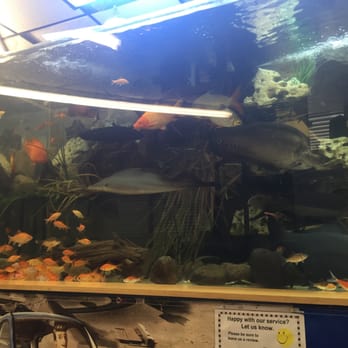 Direct Discount Point S Tires - Enjoyed the fish tank as well! - Tires Near Me - Stillwater, Oklahoma Direct Discount Point S Tires - Enjoyed the fish tank as well! - Tires Near Me - Stillwater, Oklahoma