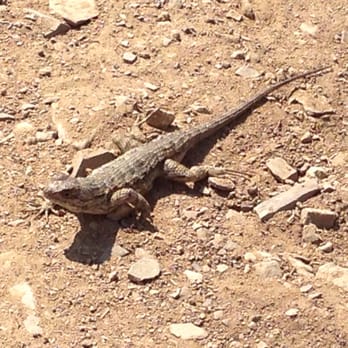Point Mugu State Park - Little friends during the hike :) - Parks Near Me - Malibu, California Point Mugu State Park - Little friends during the hike :) - Parks Near Me - Malibu, California