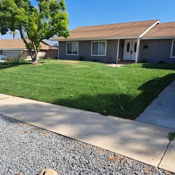 1. Mc Cactus Fast Landscaping Designs