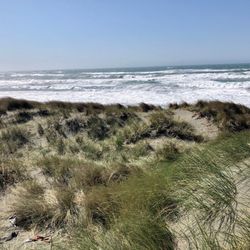 Tolowa Dunes State Park