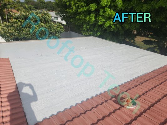 Flat roof maintenance in Hollywood, Florida - Flat roof maintenance in Hollywood, Florida