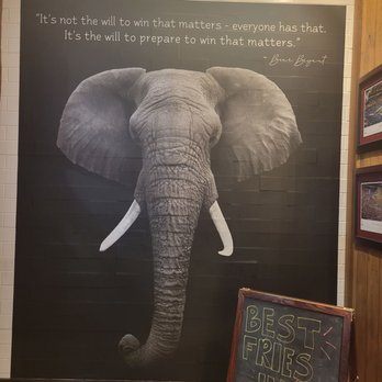 Mediterranean Sandwich - an elephant with a quote on it - Mediterranean Near Me - Tuscaloosa, Alabama